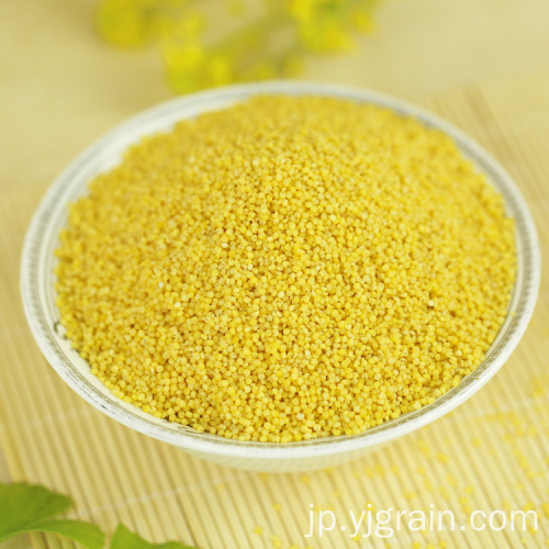 高品質の黄色いキビの穀物の高い栄養価